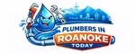 Plumbers in Roanoke Today Header Logo